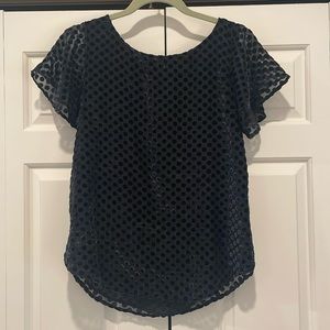 LOFT Navy velvet polka dot flutter sleeve top -size XS